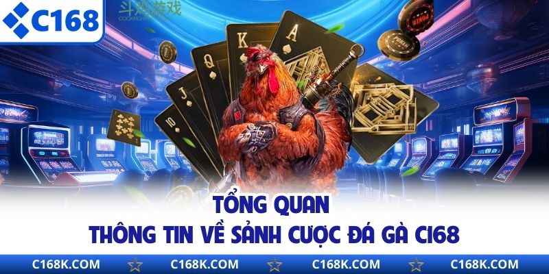 Tổng quan thông tin về sảnh cược đá gà C168